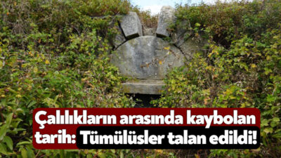 Kocaeli'nin İzmit ilçesinde bulunan ve kral mezarları olduğu sanılan tümülüsler,