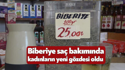 Son dönemde saç bakımı için doğal çözümler arayanların favorisi haline