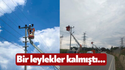 Kocaeli’nin elektriğinden sorumlu olan SEDAŞ elektrik kesintisi akla gelebilecek olan