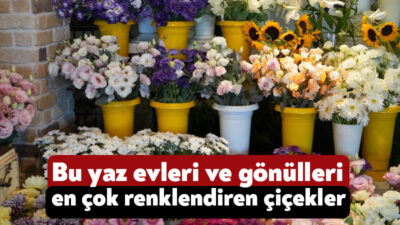 Renkleriyle ve kokularıyla kiminin bahçesini, anlamına göre ise kiminin kalbini