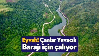 Kocaeli’nin en büyük barajı olan Yuvacık Barajı için çanlar çalıyor.