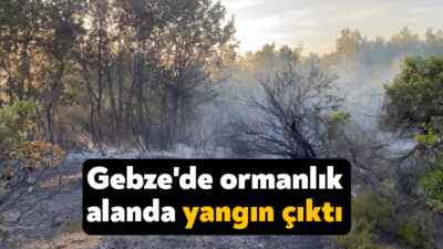 Kocaeli'nin Gebze ilçesinde ormanlık alanda çıkan yangın, çok sayıda ekibin