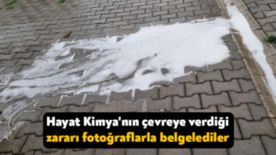 Kocaeli'de hijyen ve temizlik sektöründe üretim yapan Hayat Kimya, son