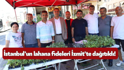 İzmit Belediyesi, İstanbul Büyükşehir Belediyesi’nden hibe edilen 480 bin lahana