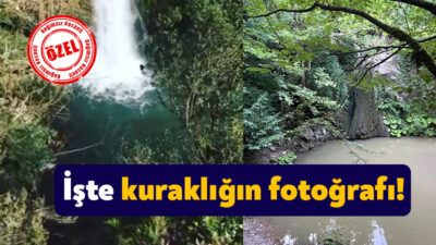 Kocaeli’deki Çeneler Deresi’nden 6 ayla çekilen görüntüler tabloyu gözler önünde