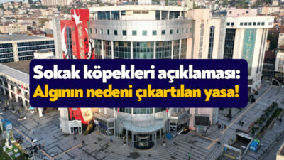 İzmit Belediyesi, 6 Ağustos tarihinde saldırgan bir köpek ihbarı sonrasında
