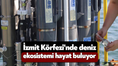 Kocaeli'de hayata geçirilen proje kapsamında İzmit Körfezi'nde su kalitesi takip