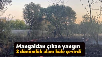 Kocaeli'de mangaldan çıkan yangında 2 dönümlük alan kül oldu