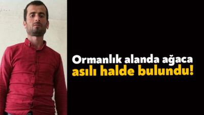 Körfez'de ormana gideceğini söyleyen 43 yaşındaki şahıs, ağaca asılı halde