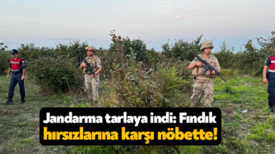 Kocaeli'de jandarma ekipleri, yaşanan fındık hırsızlıklarını önlemek amacıyla tarlalarda nöbet