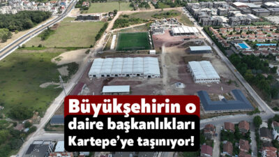 Muhtarlıklar Daire Başkanlığı, Yapı Kontrol Daire Başkanlığı ile Park ve