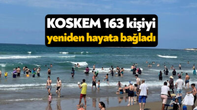 Kocaeli Büyükşehir Belediyesi'ne bağlı KOSKEM ekipleri geçtiğimiz hafta sahillerde 163