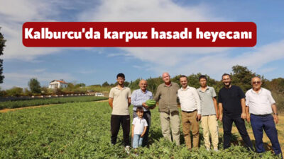 Kalburcu köyündeki karpuz tarlasında yapılan hasada katılan Körfez Belediye Başkanı
