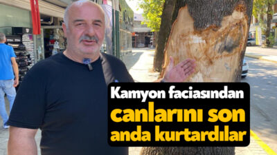 Kocaeli'de freni boşalan kamyon, park halindeki 4 araca ve ağaca