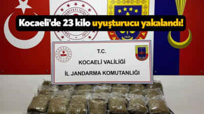 Kocaeli'nin Gebze ilçesinde 2 araçta yapılan aramada 23 kilo bonzai