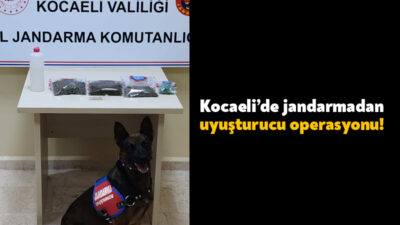 Kocaeli’de jandarma ekipleri tarafından düzenlenen uyuşturucuya yönelik operasyonda 3 kişi