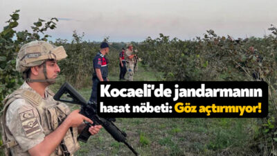 Kocaeli'de komando ekipleri, hasat zamanında tarlara girerek fındık çalan