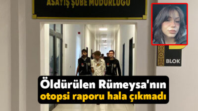 Kocaeli'de 18 yaşındaki Rümeysa Meriç Özcan'ın öldürüldüğü ve kaza süsü