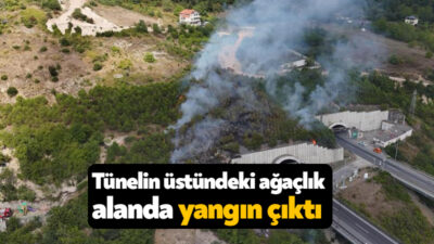 Kocaeli'nin İzmit ilçesinde Gültepe Tüneli'nin üst kısmındaki ağaçlık alanda yangın