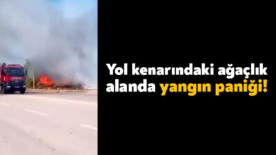 Kocaeli'nin Kartepe ilçesinde yol kenarında ağaçlık alanda çıkan yangın