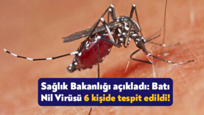 Coronavirüs salgınıyla mücadele eden dünya şimdi de “maymun çiçeği” virüsü
