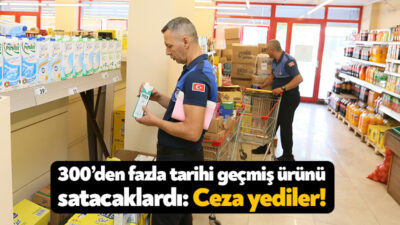 Derince Belediyesi’nin zabıta ekipleri son yaptığı denetimlerde 300’ün üzerinde tarihi