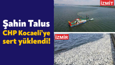 AK Parti Kocaeli İl Başkanı Dr. Şahin Talus, İzmir Körfezi’nde