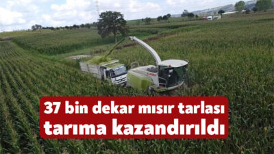 Kocaeli'de çiftçilere sunulan tohum ve gübre desteğiyle atıl durumdaki 7