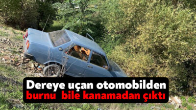 Kocaeli'nin Çayırova ilçesinde seyir halinde olan otomobil, sürücünün direksiyon hakimiyetini