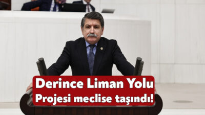 Cumhuriyet Halk Partisi Kocaeli Milletvekili Prof. Dr. Mühip Kanko Derince