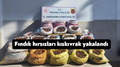 Kocaeli'nin Kandıra ilçesinde vatandaşın 25 çuval fındığını çalan hırsızlar, jandarma