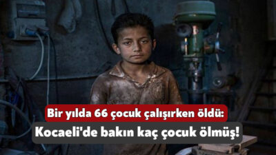 İşçi Sağlığı ve İş Güvenliği Meclisi bir yıllık süreç içerisinde