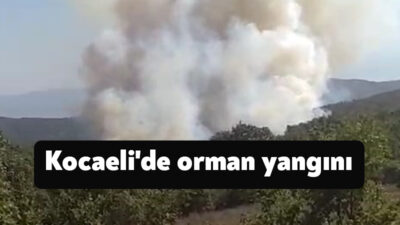 Kocaeli'nin Karamürsel ilçesindeki ormanlık alanda yangın çıktı. Yangına müdahale için