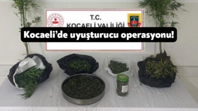 Kocaeli’de jandarma ekipleri tarafından Kartepe’de dört farklı adrese operasyon yapıldı