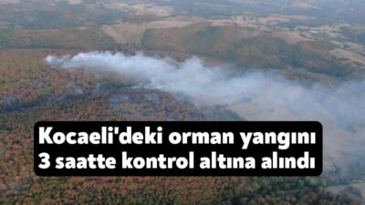 Kocaeli'nin Karamürsel ilçesinde ormanlık alanda çıkan yangın 3 saatte kontrol