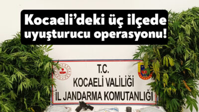 Kocaeli İl Jandarma Komutanlığı ekipleri tarafından üç ilçede yürütülen çalışmalarda