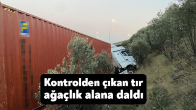 Kocaeli'nin Dilovası ilçesinde kontrolden çıkan tırın ağaçlık alana daldığı kazada