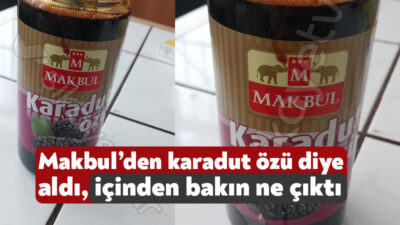 Kocaeli’nin çeşitli noktalarında hizmet vermekte olan Makbul’den bir vatandaş karadut
