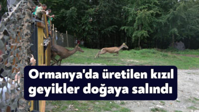 Kocaeli Büyükşehir Belediyesi ile Tarım ve Orman Bakanlığı Doğa Koruma