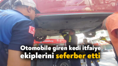 Kocaeli'nin İzmit ilçesinde otomobilin motoruna giren kedi, bir saat süren