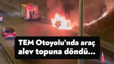 TEM Otoyolu Kocaeli geçişinde seyir halinde olan hafif ticari araç,