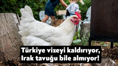 Türkiye Irak’a vize serbestliği sağladı ama Irak Türkiye’den giden tavukları