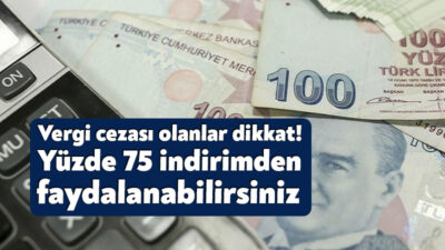 Gelir İdaresi Başkanlığı, vergi cezalarında indirim koşullarını açıklayan bir broşür