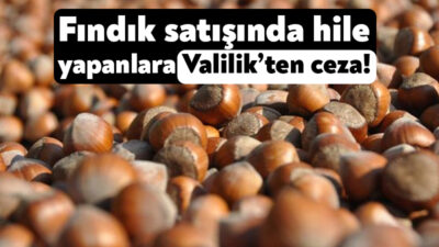 Kocaeli’de fındık hasadının başlamasıyla beraber denetimler de arttı. Kocaeli İl