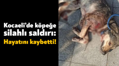 İzmit’te yaşanan olayda kimliği belirsiz kişi ya da kişiler tarafından