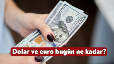 Döviz kuru, son dönemde dalgalı bir seyir izliyor. Uzmanlar, döviz