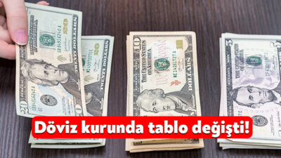 Döviz kuru, son dönemde yaşanan ekonomik belirsizlikler ve küresel piyasalardaki