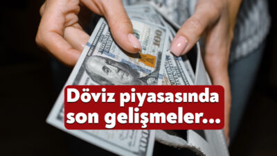 Son dönemde döviz kurlarında yaşanan dalgalanma, hem yerel hem de