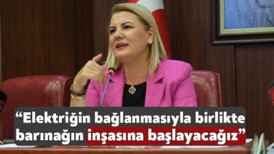 Ekim ayı meclis toplantısında hayvan barınağı süreci ile ilgili bilgi
