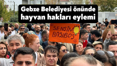 Gebze Belediyesi önünde katledilen hayvanlar için eylem yapan hayvanseverler barikatla
